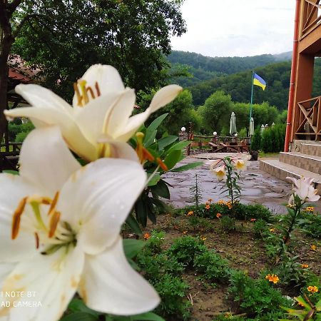 Bilovoddya Hotel Sil Buitenkant foto