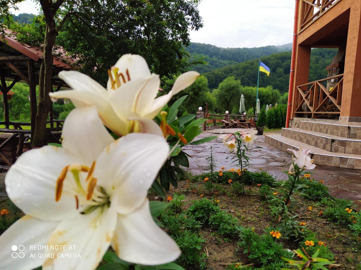 Bilovoddya Hotel Sil Buitenkant foto